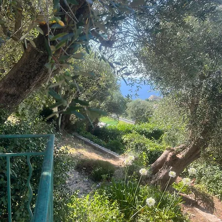 Villa Belle Avec Piscine Proche Monaco *