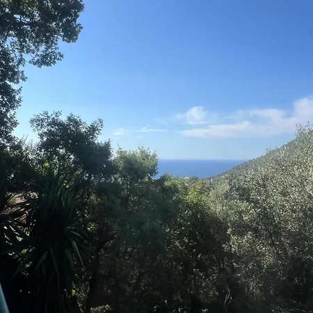 Belle Avec Piscine Proche Monaco Villa